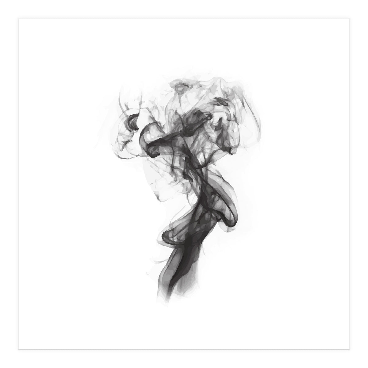 THE PORTRAIT OF A LADY (Print Only)