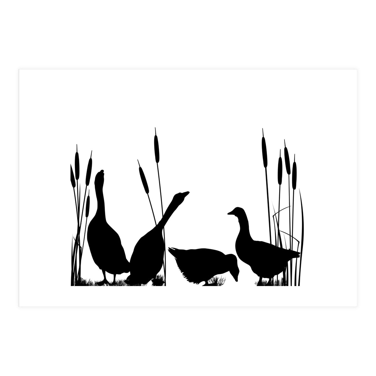 Goose talk too (Print Only)