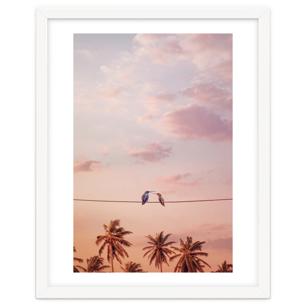 Hummingbirds In Love