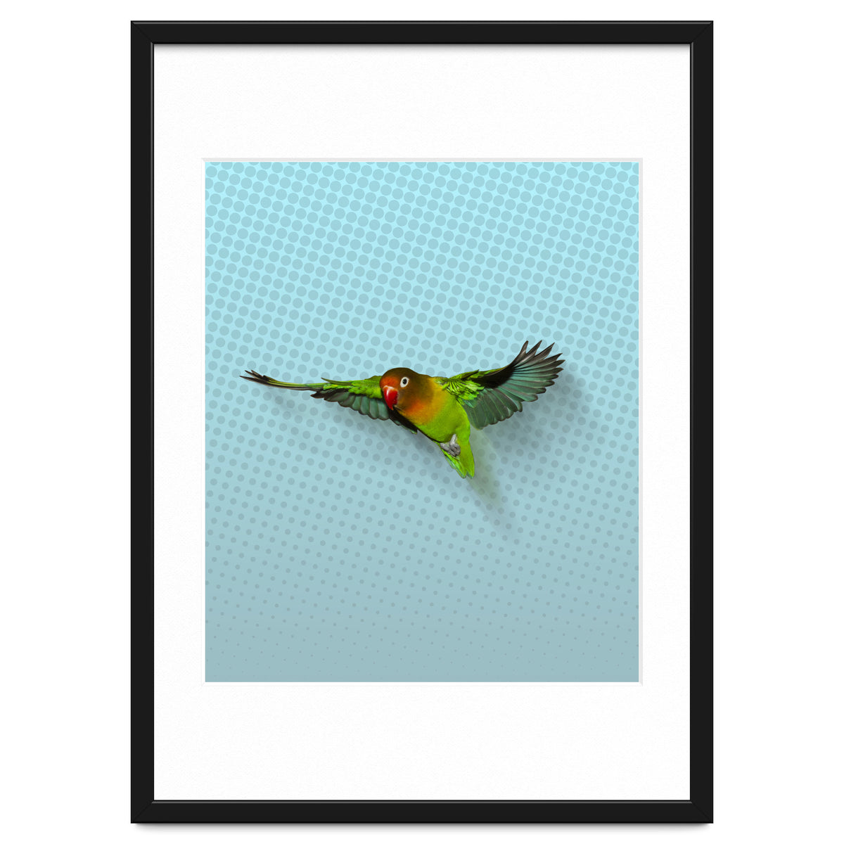Flying lovebird