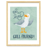 Hey Gull Friend