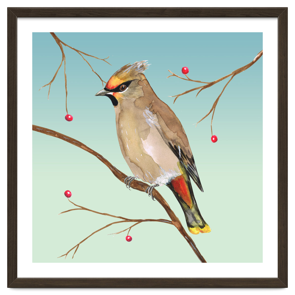 Bohemian waxwing