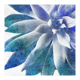 Rough Beauty 3 (Print Only) thumbnail