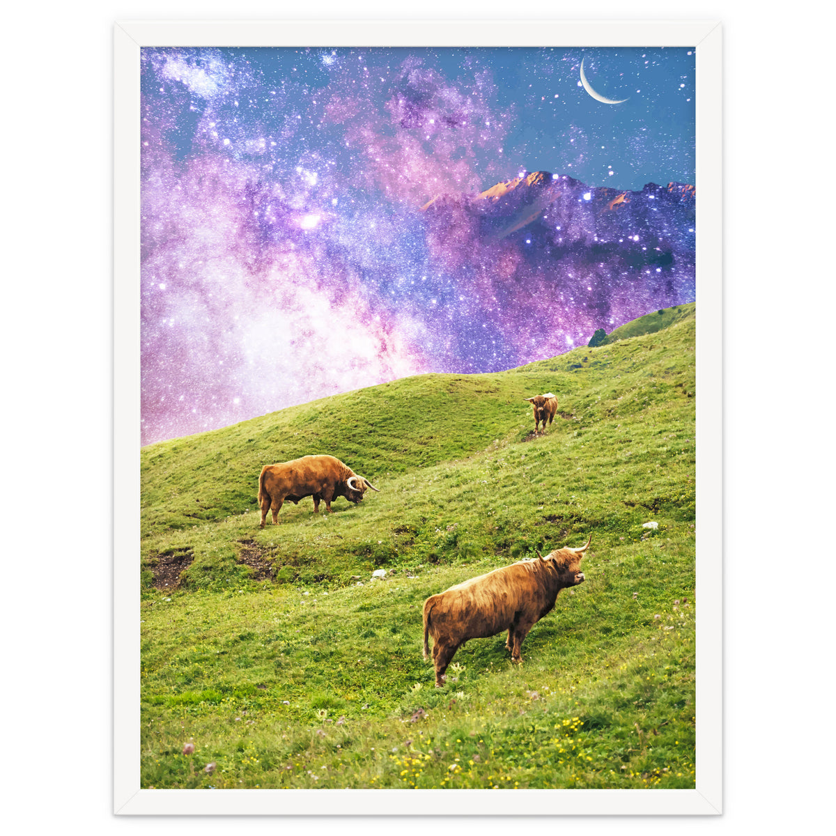 Space Cow Series II