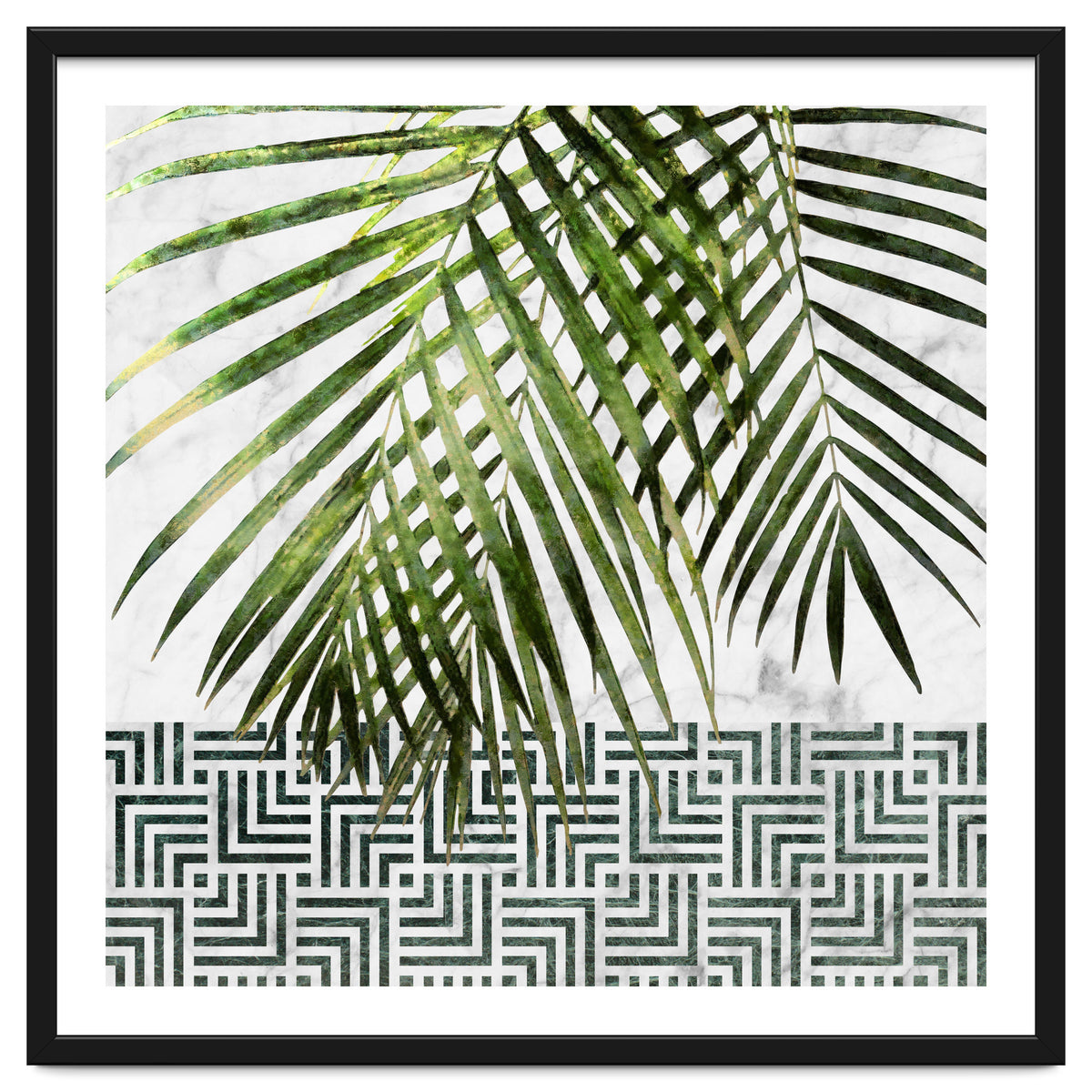 Palm Leaves On White Marble And Tiles