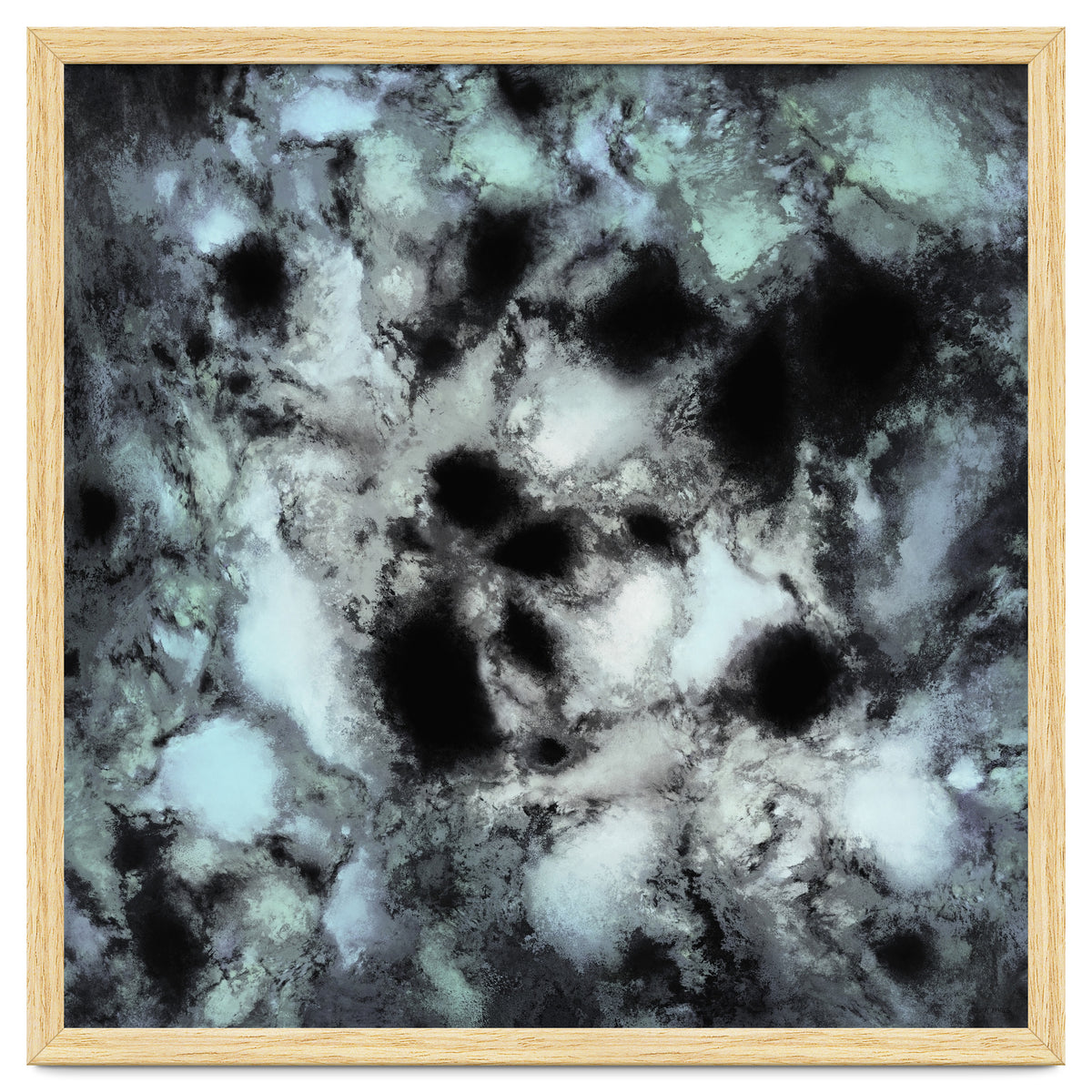 Searching For Animal Tracks