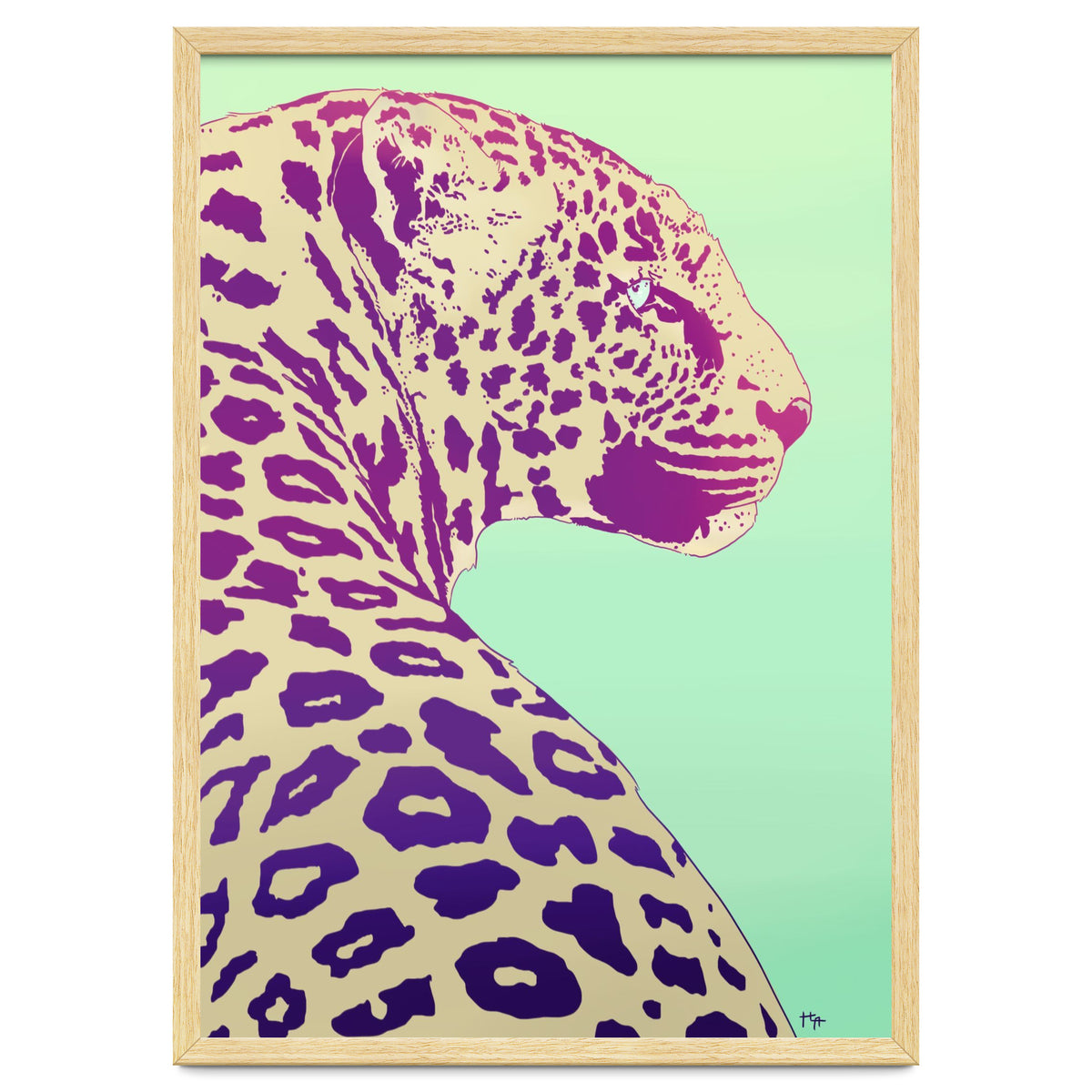 Leopard Under The Sun