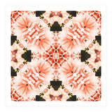 Blush Mandala (Print Only) thumbnail