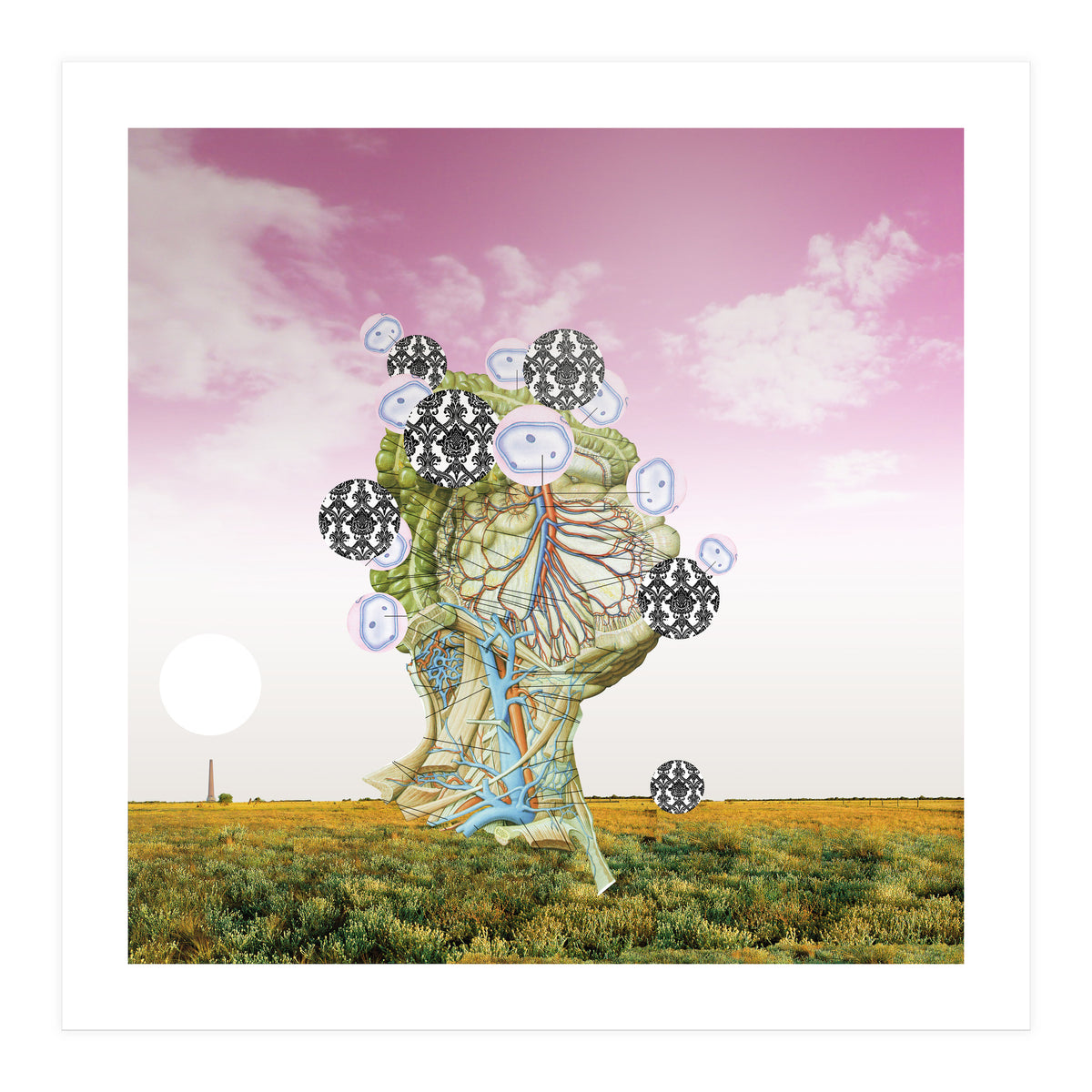 Flesh And The Tree (Print Only)