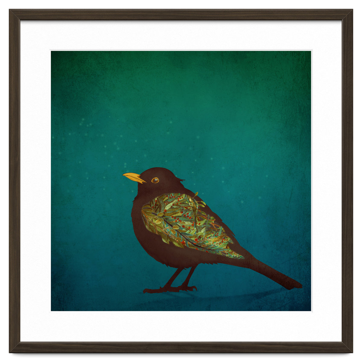 Camouflage: The Blackbird