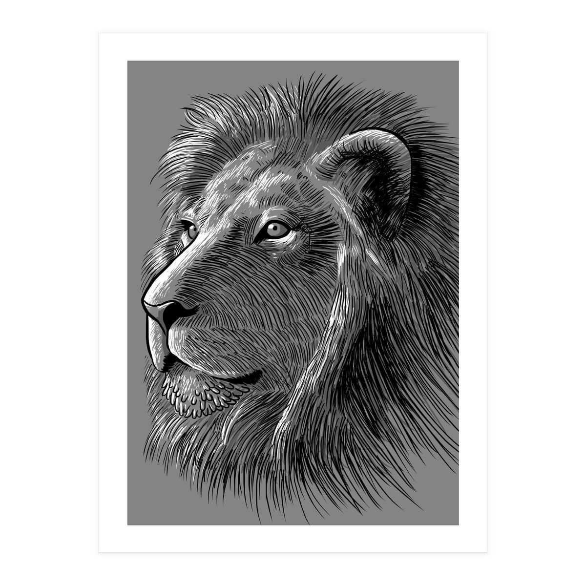 Sketch Lion (Print Only)