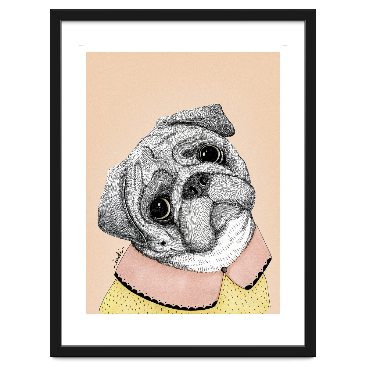 Pug