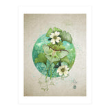 Luna Moth  (Print Only) thumbnail