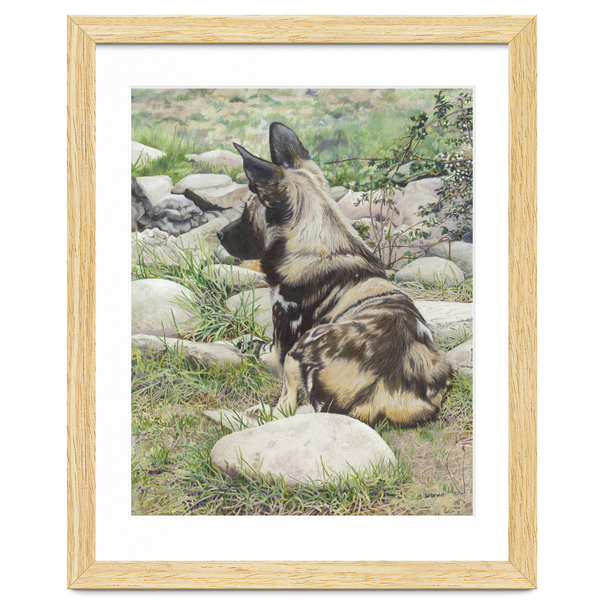 African Painted Dog I