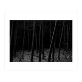silent woods (Print Only) thumbnail