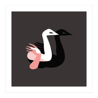 Black swan (Print Only)