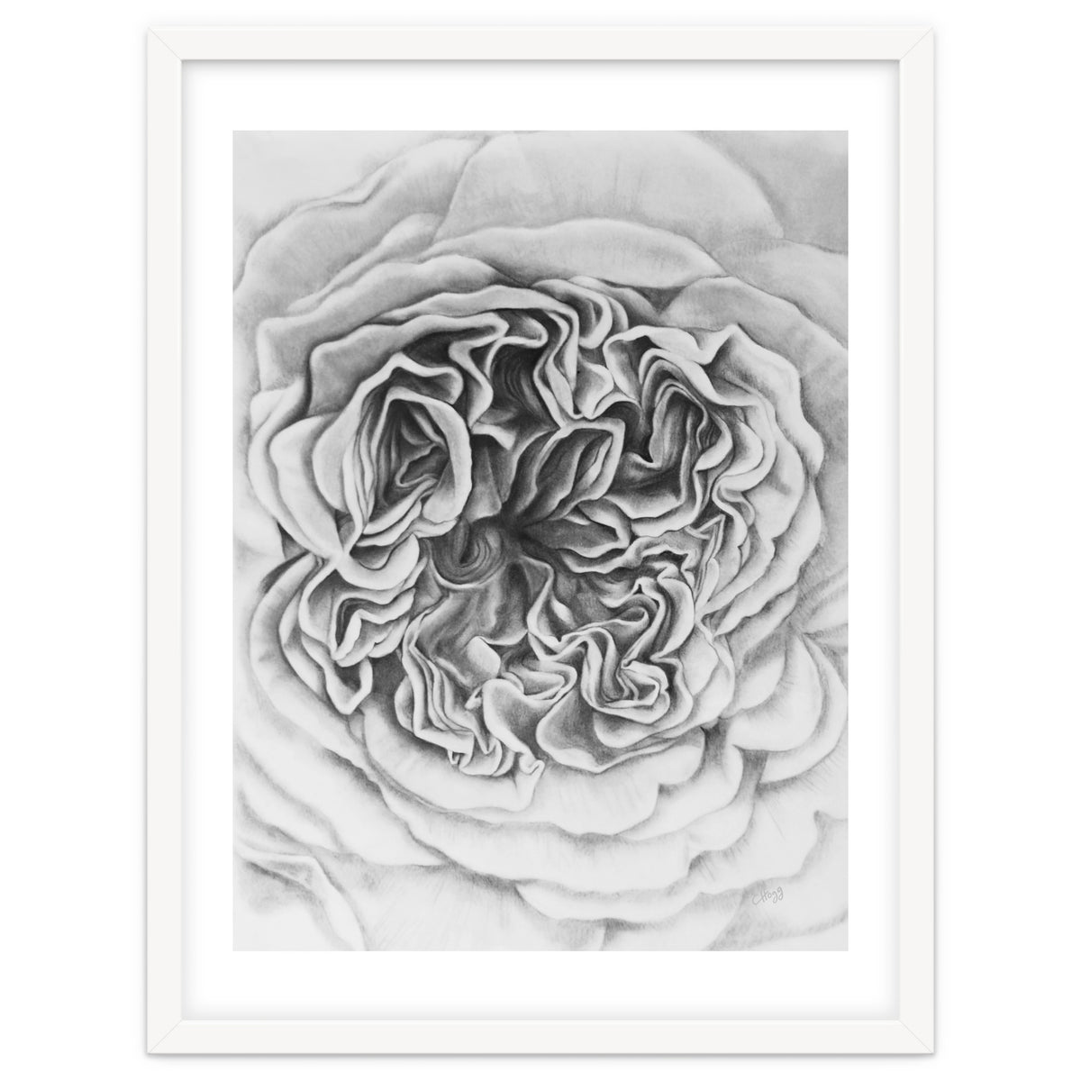 A Rose in Monochrome