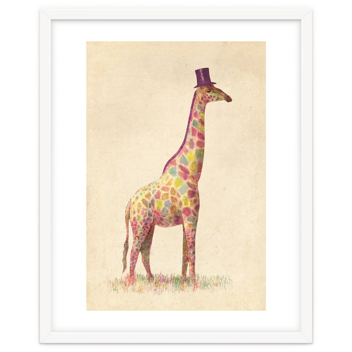 Fashionable Giraffe
