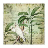 Nostalgic Cockatoo  (Print Only) thumbnail