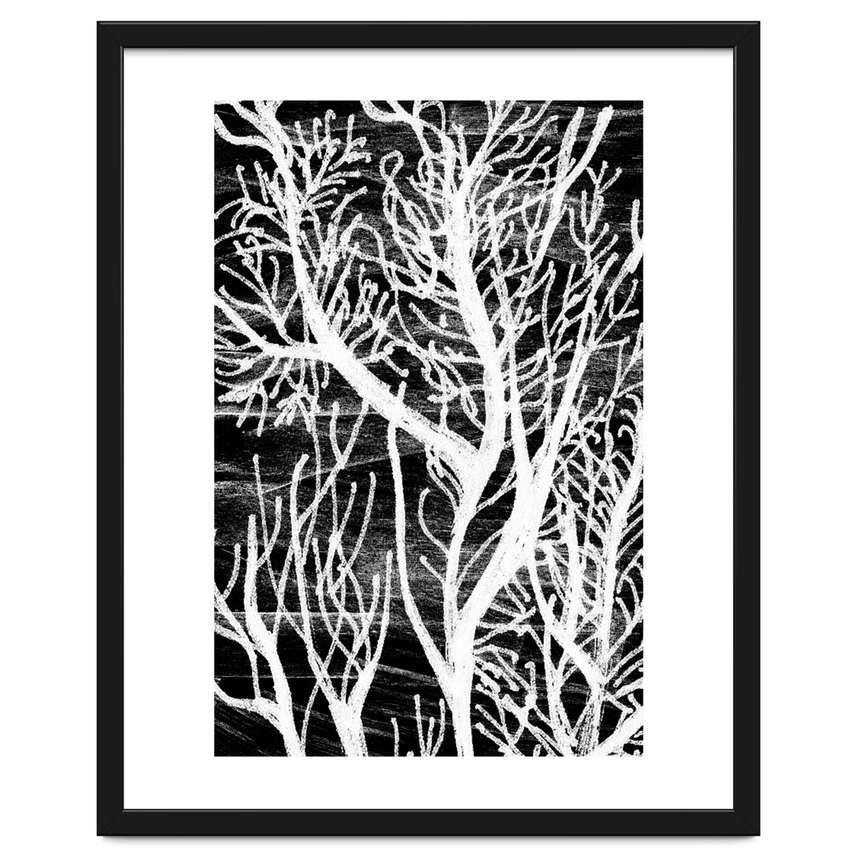 Desert Colours Collection 5