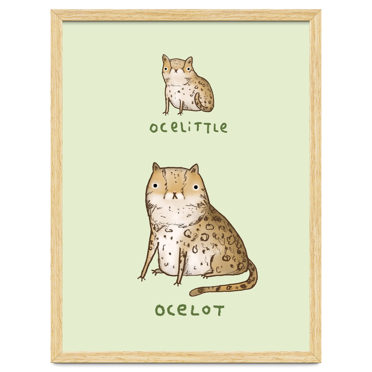 Ocelittle Ocelot