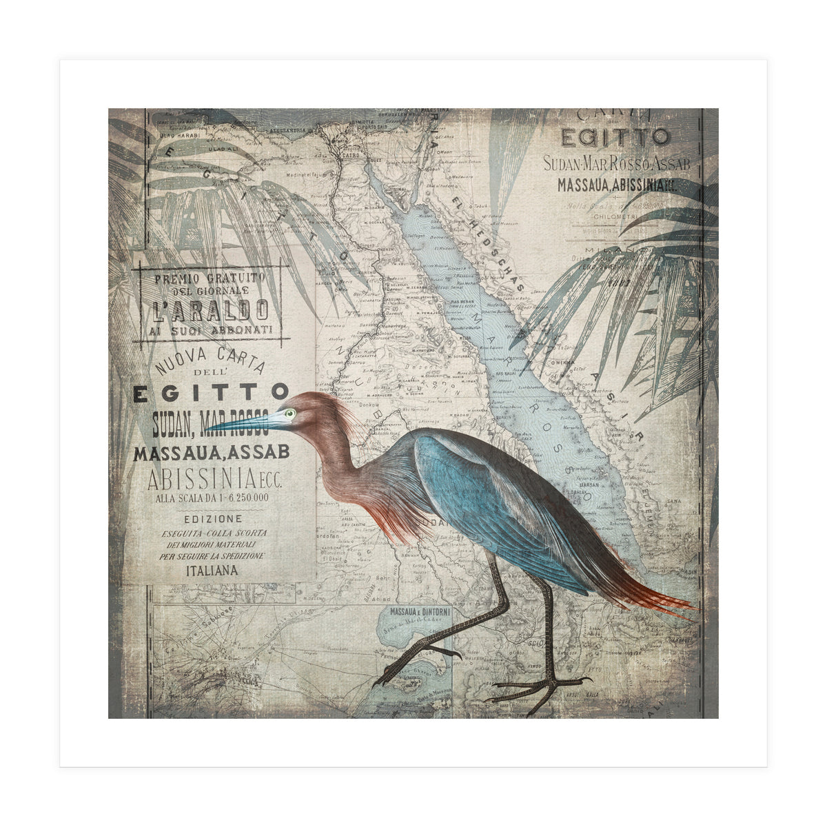 Egypt Heron (Print Only)