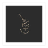 Delicate Golden Fynbos Botanicals on Black - Square (Print Only) thumbnail