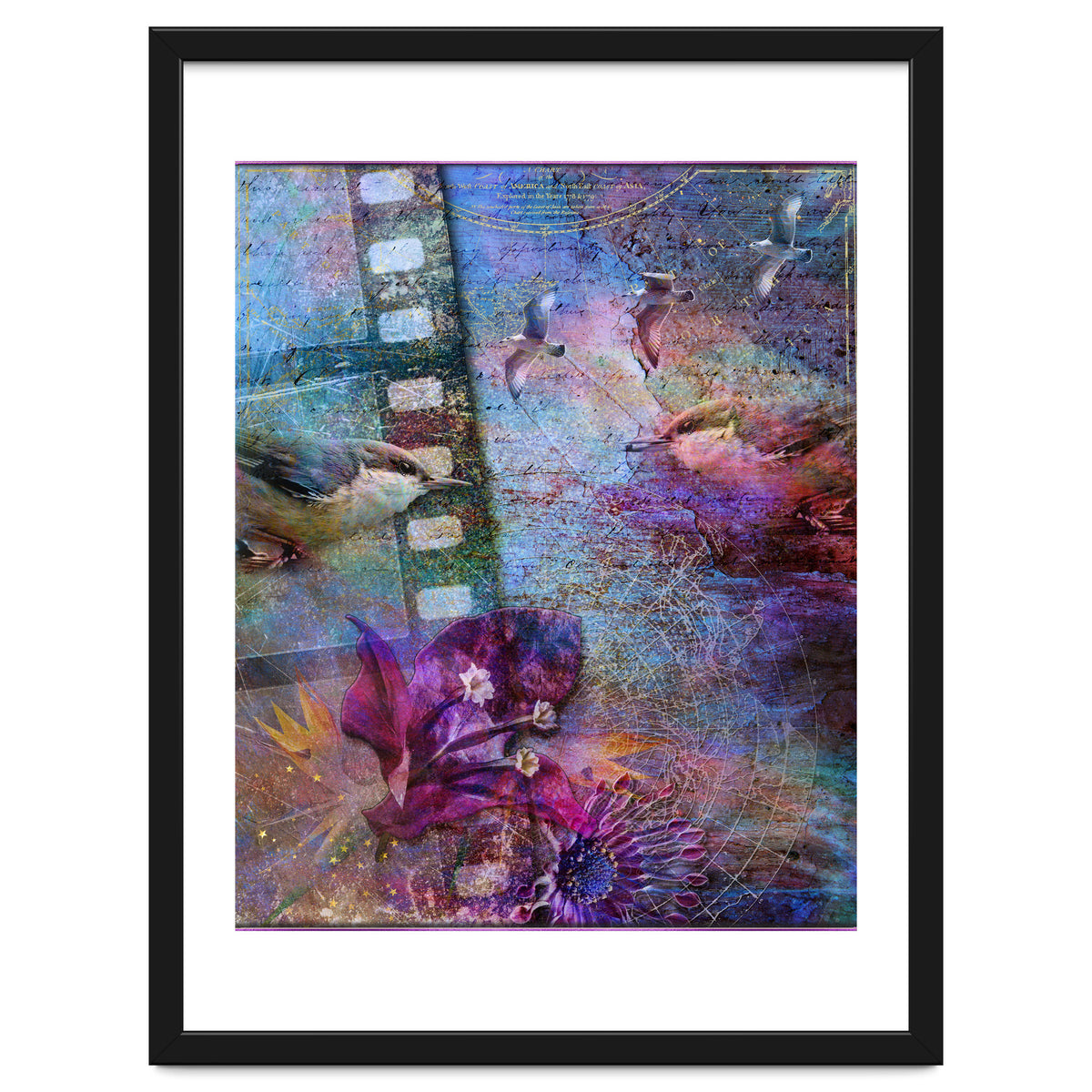 Watching the Wild World