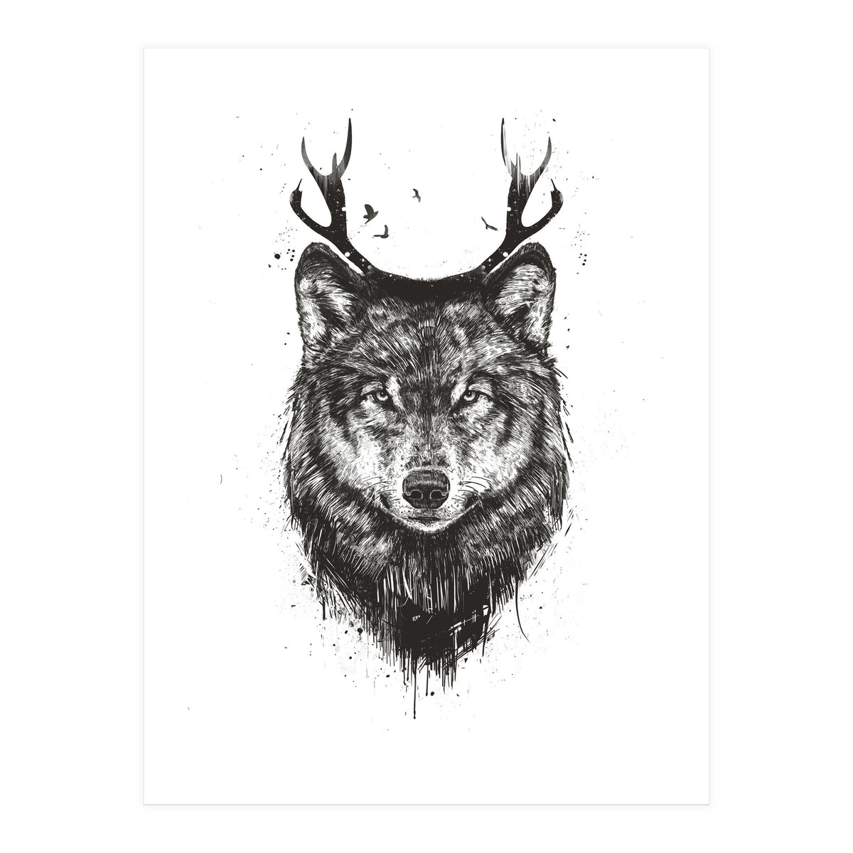 Deer Wolf Bw (Print Only)