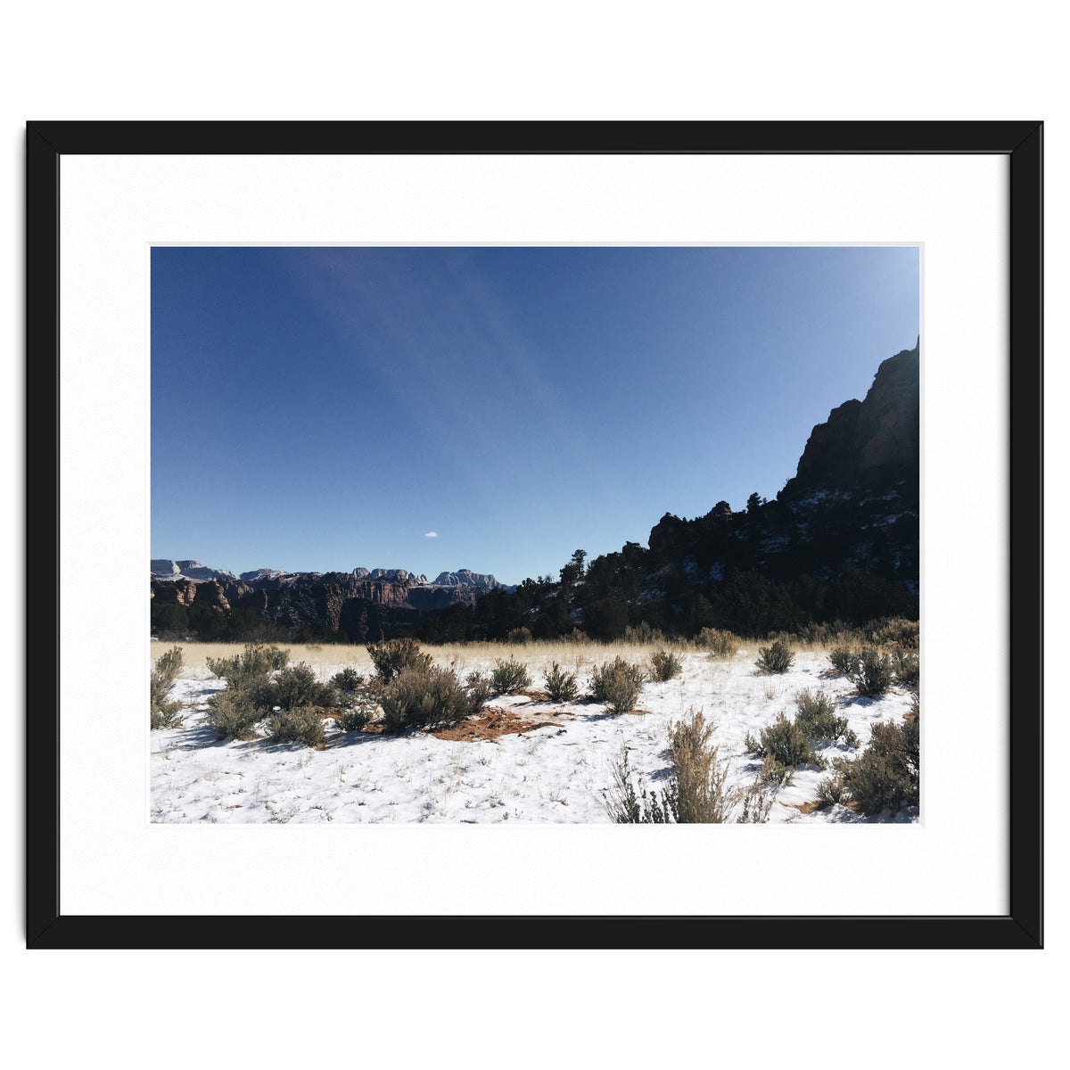 Zion National Park II