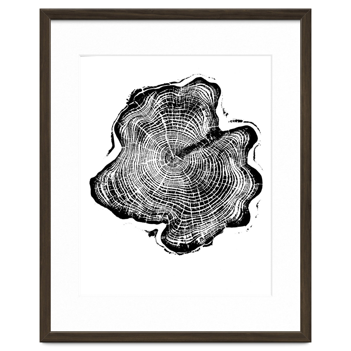 Alaskan Cypress, Tree Ring Art Print, Woodblock