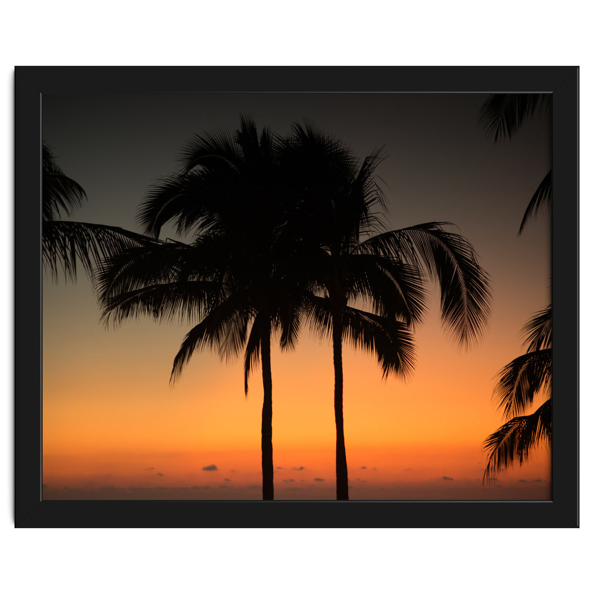 Mexico, November nights