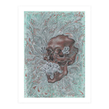 Faded Copper Peony (Print Only) thumbnail
