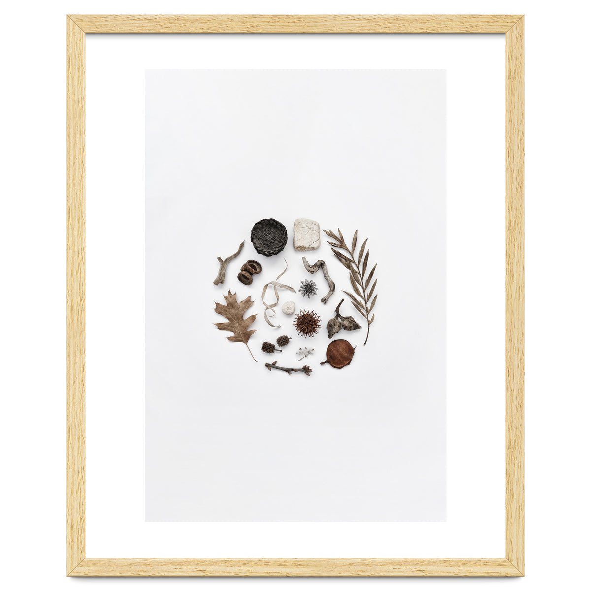 Treasures From Nature No. 2