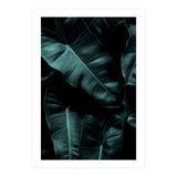 Dark Leafs (Print Only) thumbnail