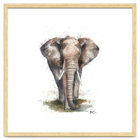 Elephant - Wildlife Collection