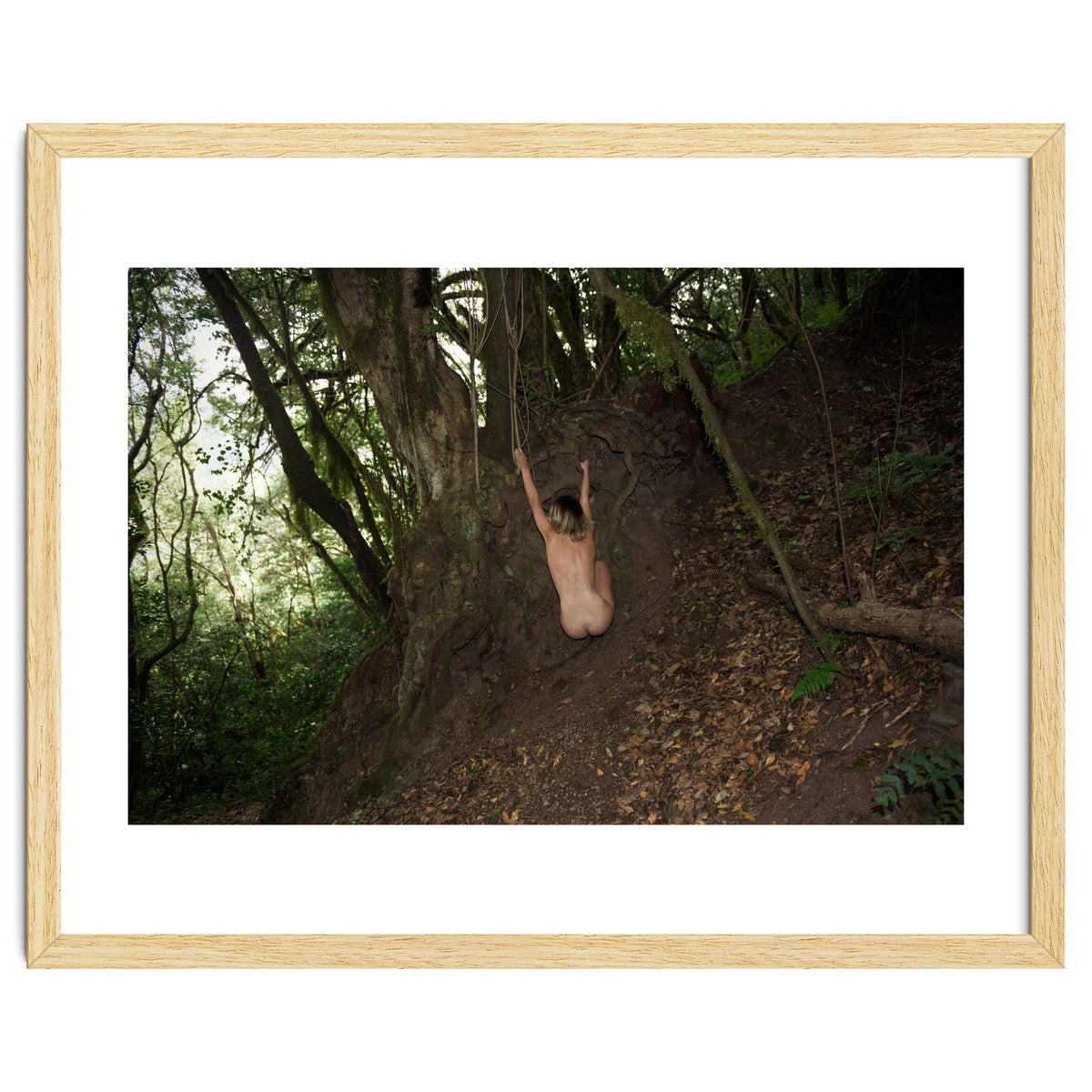 The kids Are all Wild