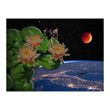 See From Lotus (Print Only) thumbnail
