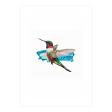 Modern Hummingbird II (Print Only) thumbnail