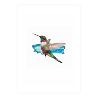 Modern Hummingbird II (Print Only)