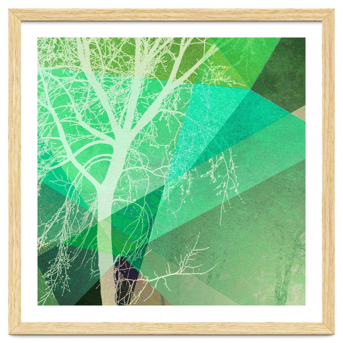 P22-B3 Trees And Triangles