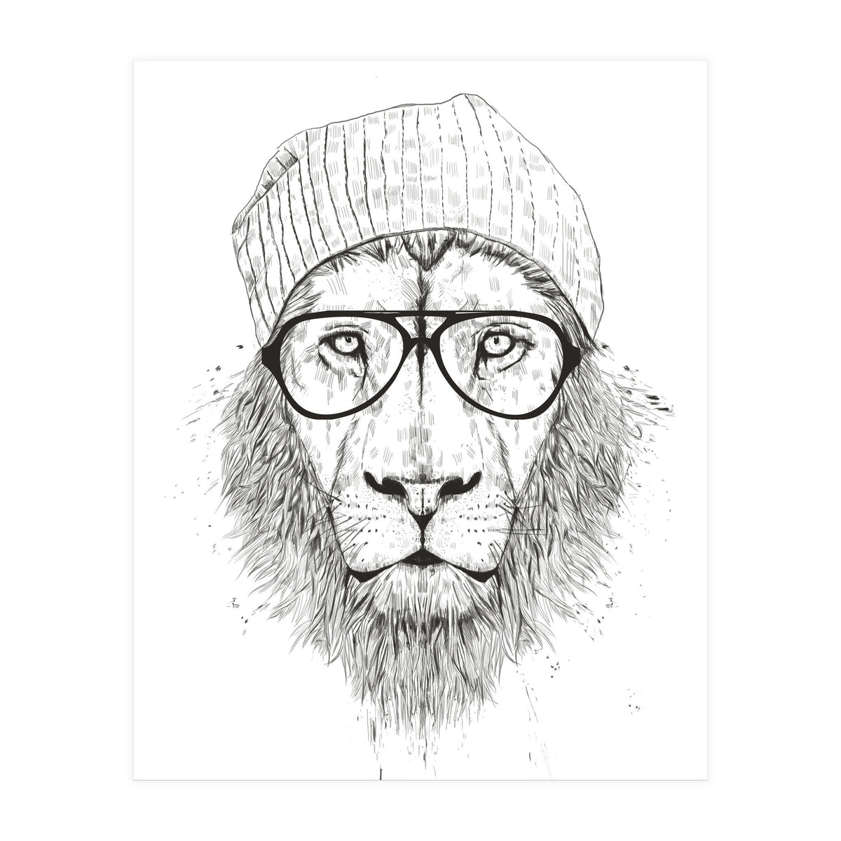 Cool Lion Bw (Print Only)