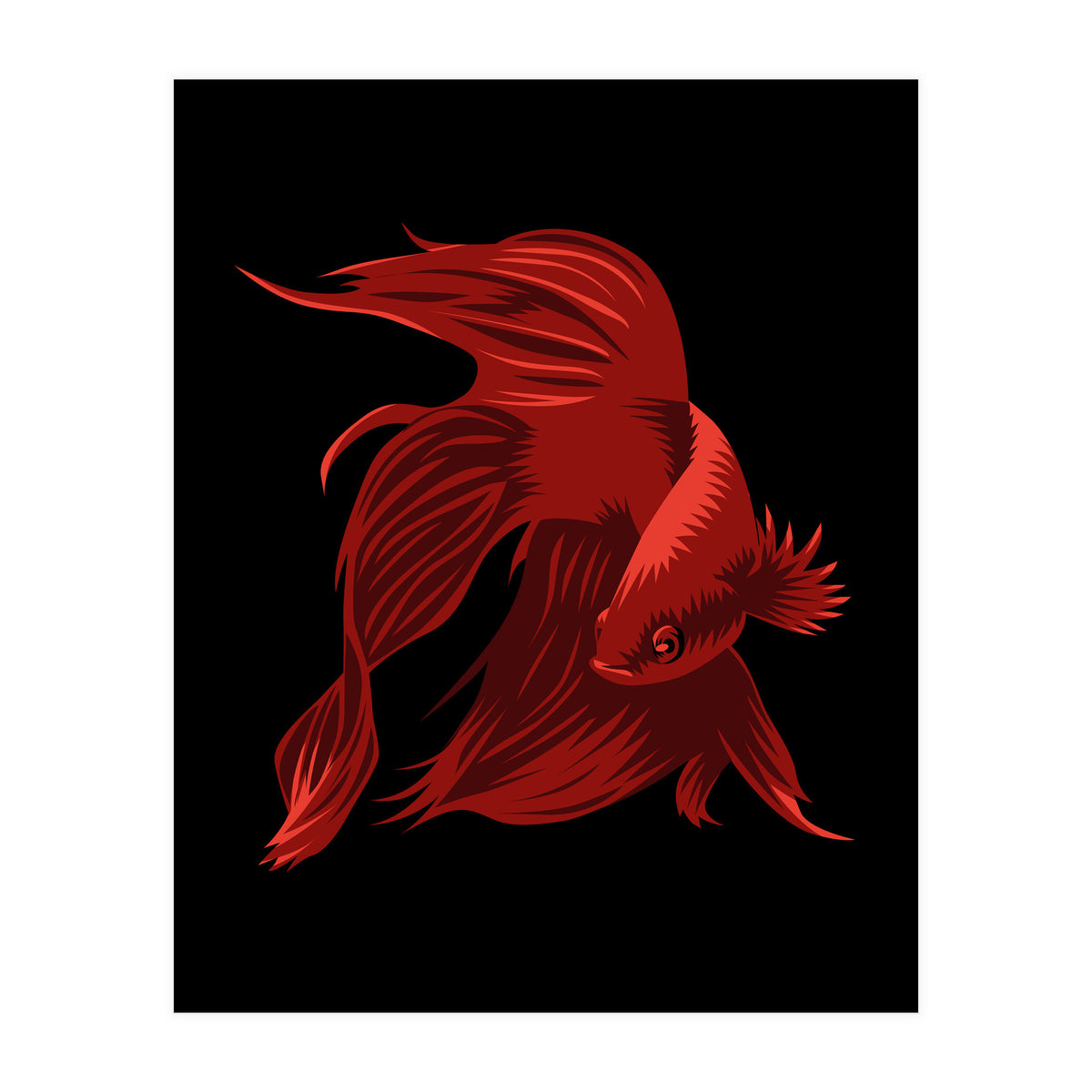 Betta (Print Only)