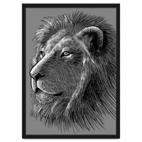 Sketch Lion