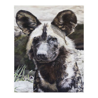 African Painted Dog II (Print Only)