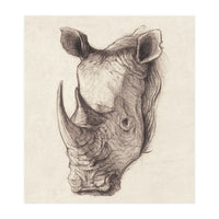 Rhinoceros (Print Only)