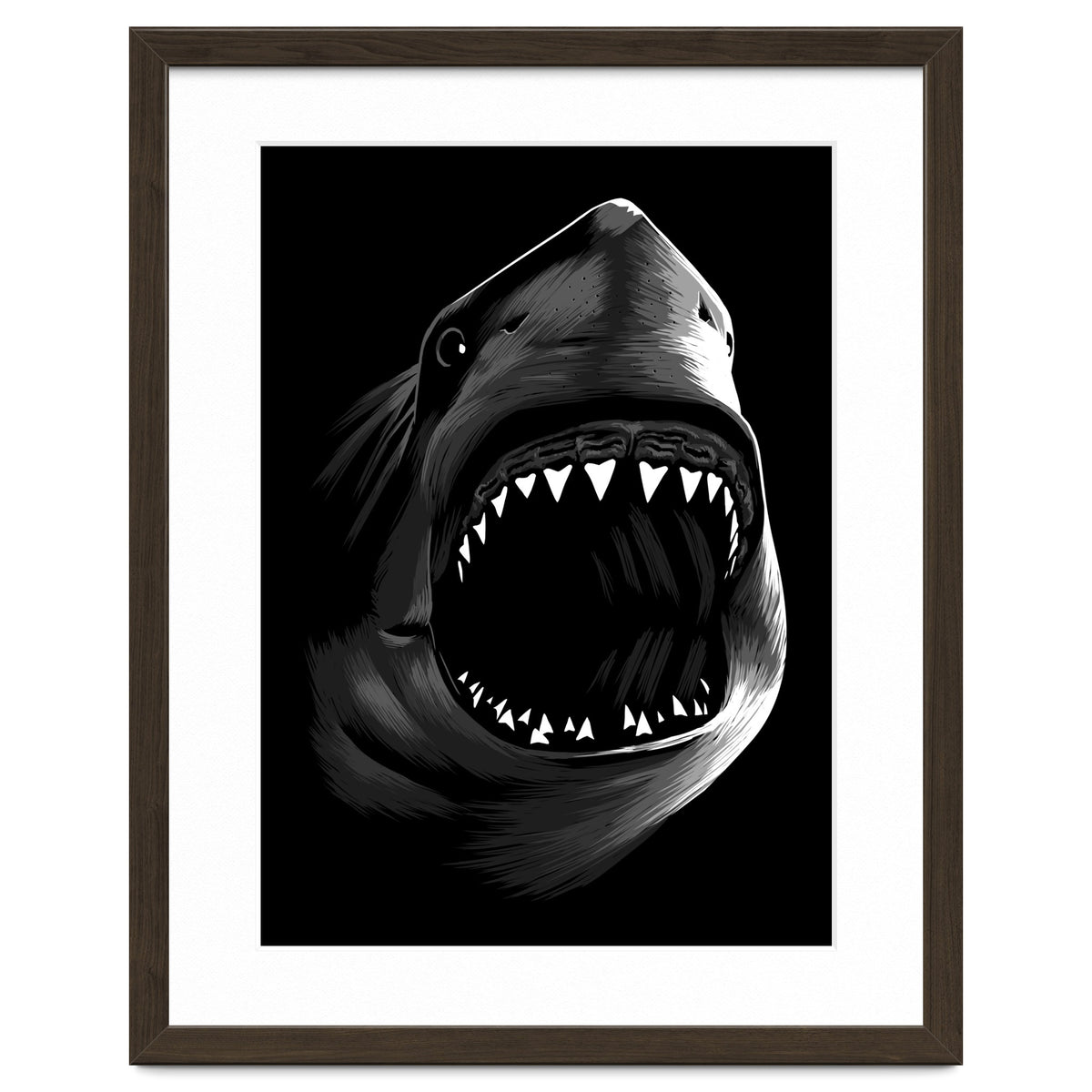 Megalodon