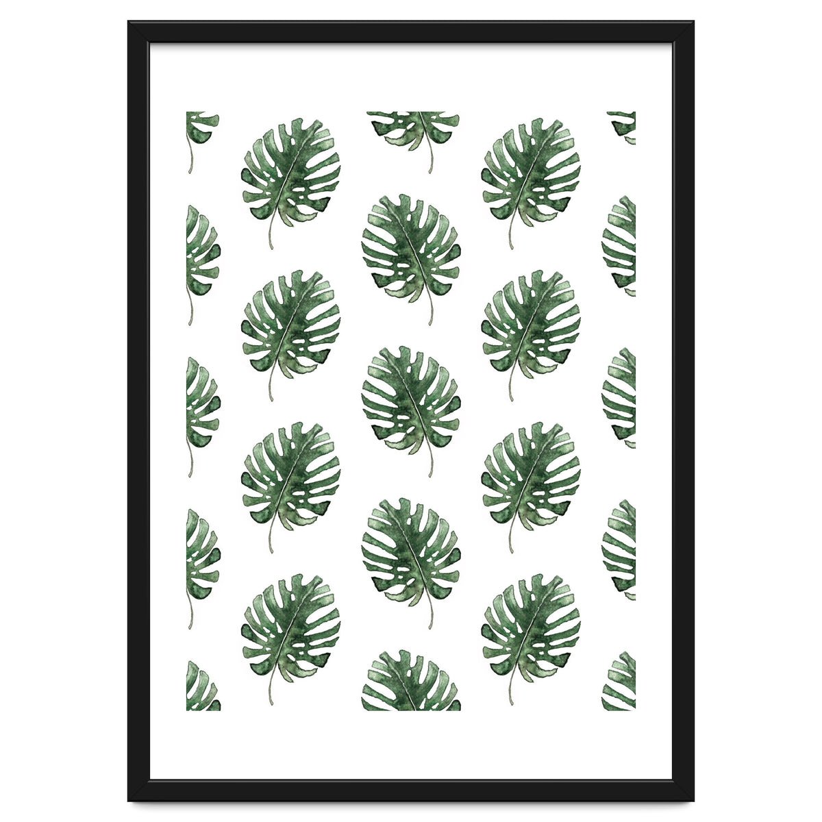 Monstera Leaves