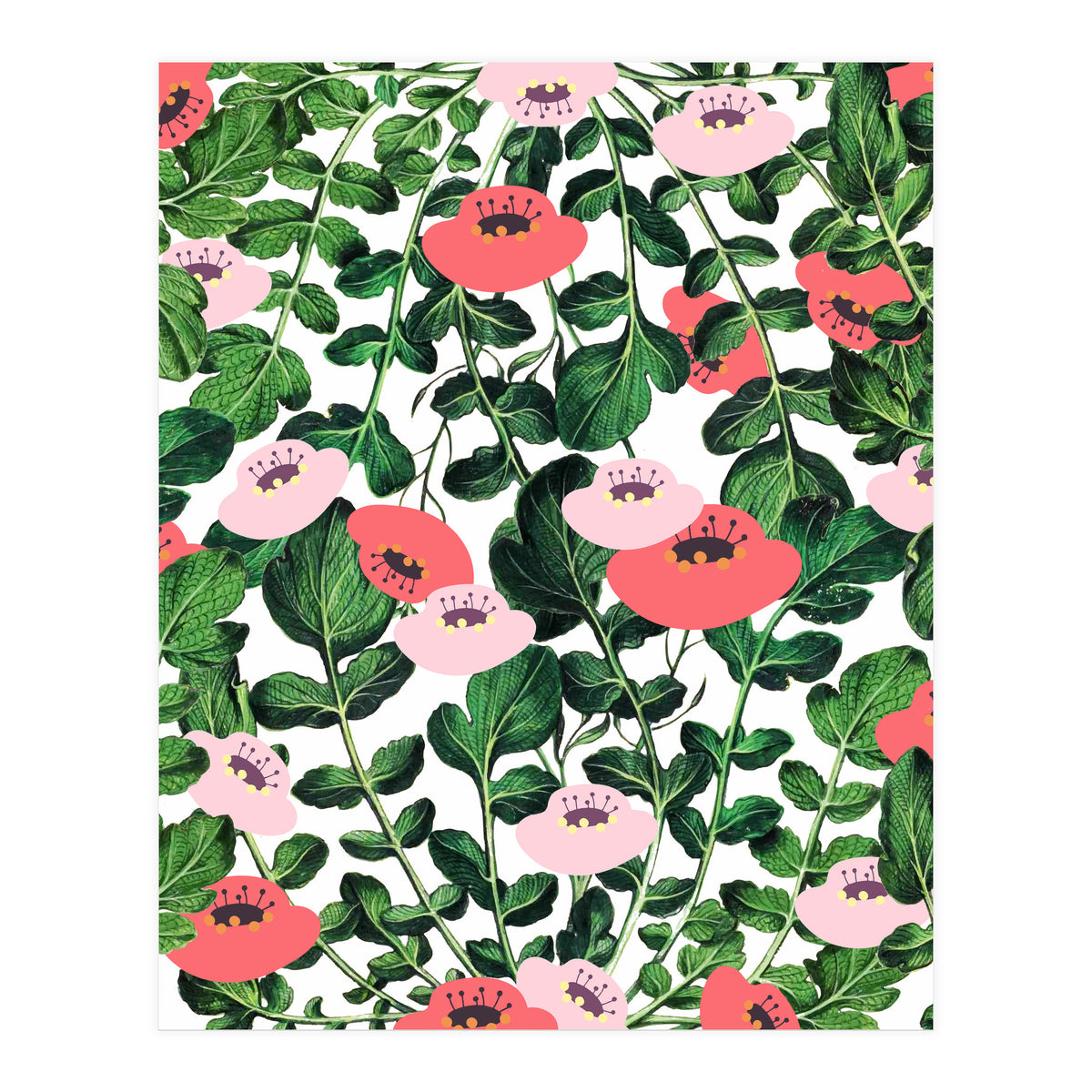 Parsnip & Poppies (Print Only)