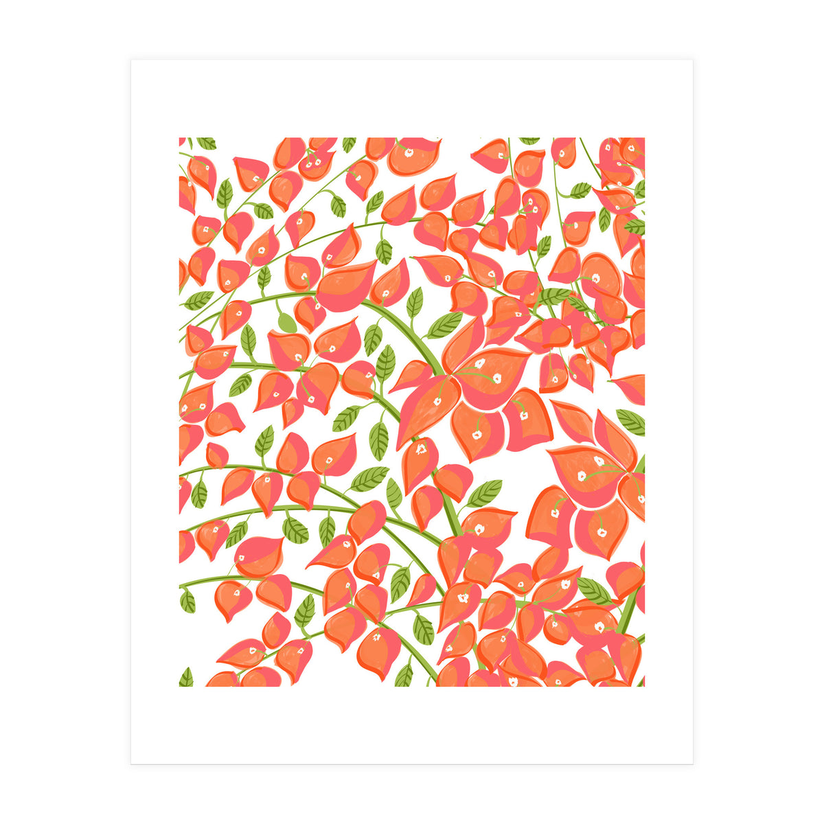 Bougainvillea Blush (Print Only)